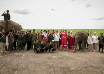 Dukung Pelestarian Keanekaragaman Hayati, Kilang Pertamina Plaju & BKSDA Sumsel Resmikan Dermaga di Pusat Latihan Gajah Padang Sugihan