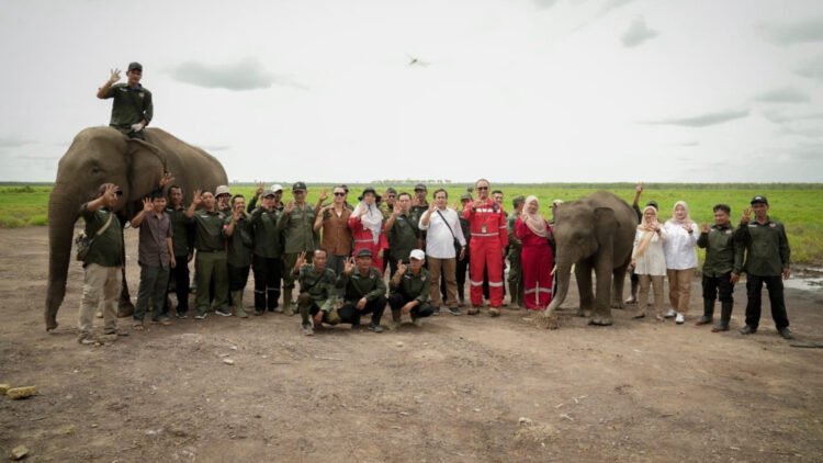 Dukung Pelestarian Keanekaragaman Hayati, Kilang Pertamina Plaju & BKSDA Sumsel Resmikan Dermaga di Pusat Latihan Gajah Padang Sugihan