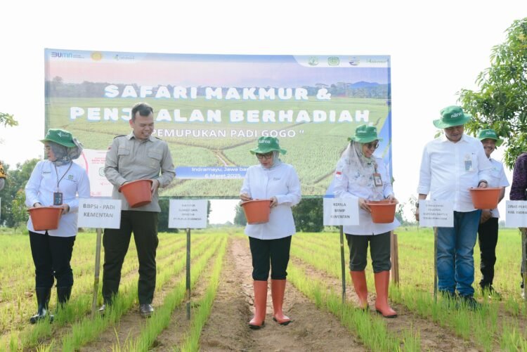 Pupuk Indonesia Ajak Petani Indramayu Wujudkan Swasembada Pangan Melalui Pemupukan Berimbang & Tanam Padi di Lahan Kering