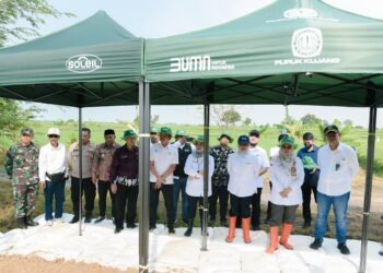 Kabar Baik! Bisa Dapat Pupuk Subsidi, Pupuk Indonesia Ajak Petani Singkong Daftar E-RDKK