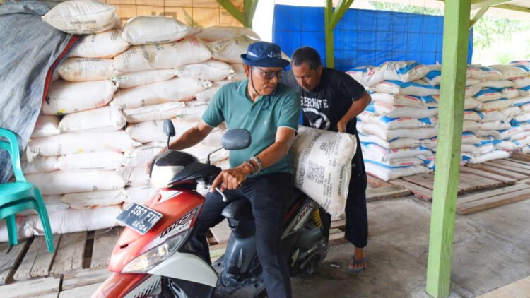 Mau Tebus Pupuk Subsidi Tapi Sedang Sakit? Begini Caranya