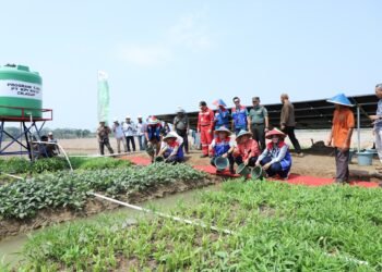 Program TJSL PT Kilang Pertamina Internasional Beri Dampak Positif ke Ribuan Penerima Manfaat