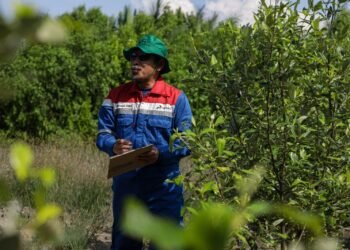 Komitmen Jaga Lingkungan, Kilang Pertamina Tanam Lebih dari 135 Ribu Pohon Sepanjang 2024