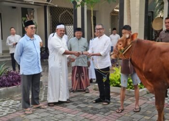 Berbagi Berkah dan Kebahagiaan Idul Adha, PGN Group Bagikan 955 Hewan Kurban untuk Masyarakat