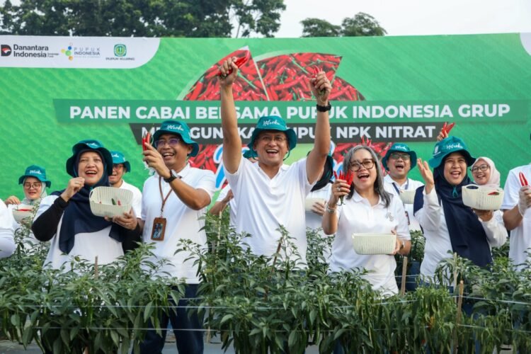 Pupuk Indonesia Tingkatkan Produktivitas Petani Hortikultura Melalui Formula Baru NPK Nitrat
