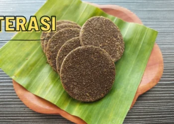 Jangan Remehkan Terasi! Ini 5 Manfaat Ajaibnya untuk Kesehatan Anda Serta Cara Mengolahnya Dengan Benar