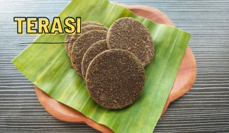 Jangan Remehkan Terasi! Ini 5 Manfaat Ajaibnya untuk Kesehatan Anda Serta Cara Mengolahnya Dengan Benar