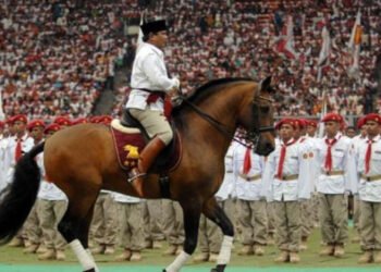 Bukan Main Mahalnya! Kuda Kesayangan Prabowo Subianto Harganya Setara Ratusan Motor Matic