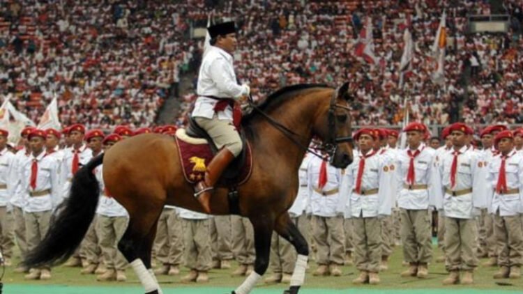 Bukan Main Mahalnya! Kuda Kesayangan Prabowo Subianto Harganya Setara Ratusan Motor Matic