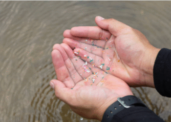 Genangan Air Hujan Yang Terdapat Mikroplastik
