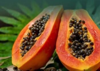 Benarkah Biji Pepaya Punya Manfaat untuk Kesehatan? Ini Faktanya