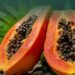 Benarkah Biji Pepaya Punya Manfaat untuk Kesehatan? Ini Faktanya