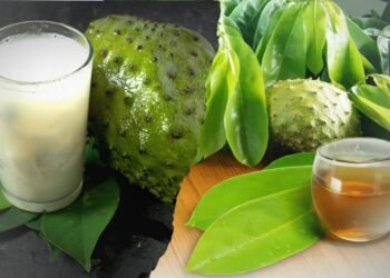 5 Khasiat Dahsyat Daun Sirsak, Jangan Anggap Sepele