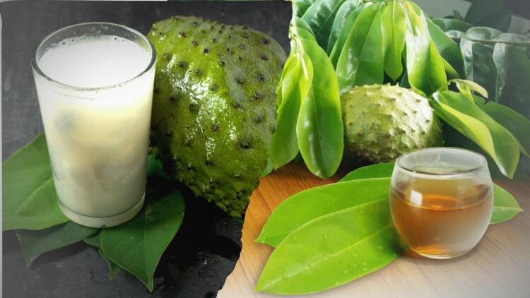 5 Khasiat Dahsyat Daun Sirsak, Jangan Anggap Sepele