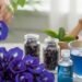 Manfaat Serta Khasiat Bunga Telang untuk Kesehatan dan Kecantikan