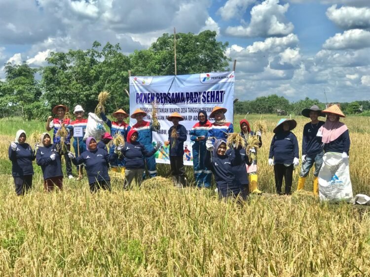 Bangkitnya Asa Masyarakat Desa Pengabuan melalui Program Permata