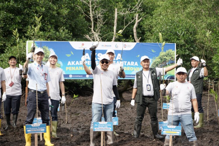 Dukung Penguatan Akar Ekosistem Pesisir, Badak LNG Tancap 4000 Bibit Mangrove