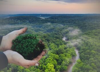 Viral! Artis dan Influencer Mau Beli Hutan Untuk Selamatkan Alam, Bagaimana Caranya?