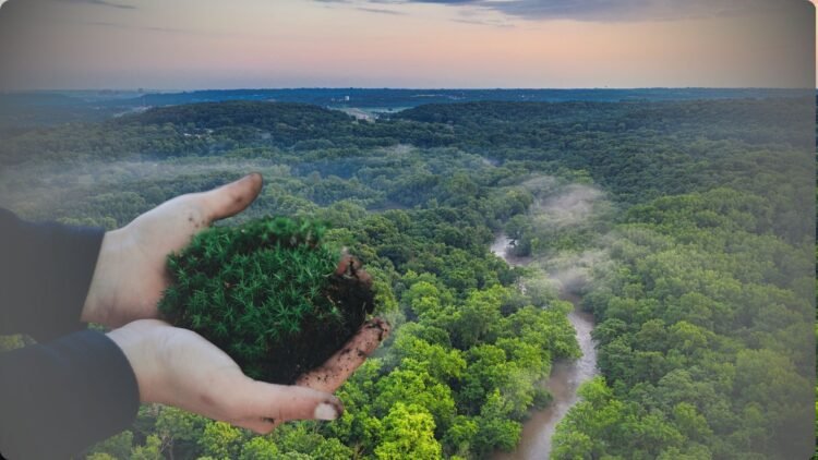 Viral! Artis dan Influencer Mau Beli Hutan Untuk Selamatkan Alam, Bagaimana Caranya?