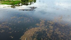 Kondisi Danau Singkarak Sumatera Barat kena efek Galodo(Foto: Kompas).