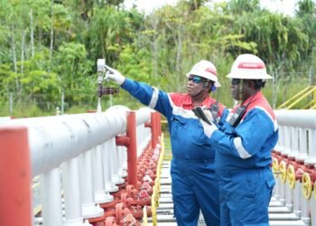 Kado Awal Tahun dari Timur Indonesia: Produksi Sumur SLW-C4X Dorong Kinerja Pertamina EP Papua Field Tembus 2.020 BOPD