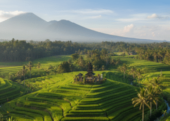 Survey Membuktikan! Indonesia Unggul di Antara Negara Lain di Asia