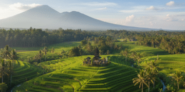 Survey Membuktikan! Indonesia Unggul di Antara Negara Lain di Asia