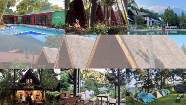 Rekomendasi Glamping di Bogor, Cocok untuk Habiskan Long Weekend