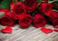Apa Itu Valentine’s Day? Sejarah Panjang dan Cara Sederhana untuk Merayakannya