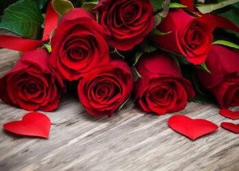 Apa Itu Valentine’s Day? Sejarah Panjang dan Cara Sederhana untuk Merayakannya