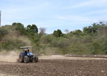 Energi yang Bertanggung Jawab: Komitmen PHR Pulihkan Tanah demi Masa Depan Berkelanjutan