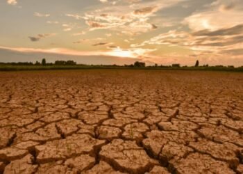 Lebih Paham El Nino, Fenomena Iklim yang Wajib Diwaspadai Indonesia