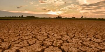 Lebih Paham El Nino, Fenomena Iklim yang Wajib Diwaspadai Indonesia