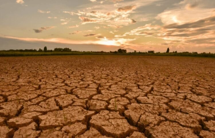 Lebih Paham El Nino, Fenomena Iklim yang Wajib Diwaspadai Indonesia