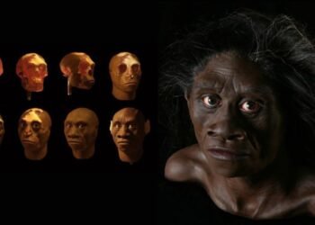 Dua Penemuan Fosil di Indonesia yang Melengkapi Teori Asal-Usul Manusia