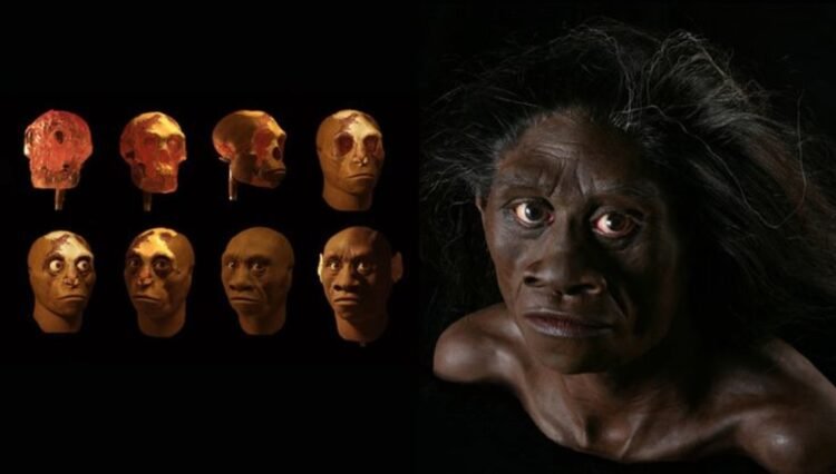 Dua Penemuan Fosil di Indonesia yang Melengkapi Teori Asal-Usul Manusia