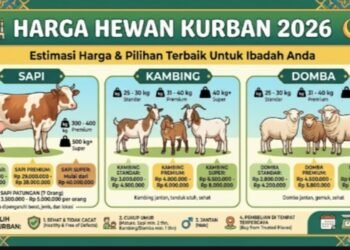 Daftar Harga Hewan Kurban 2026, Lebih Tinggi dari Tahun Lalu?