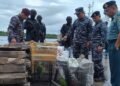 TNI AL Gagalkan Penyelundupan Satwa Dilindungi dan Kayu Gaharu di Sorong