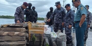 TNI AL Gagalkan Penyelundupan Satwa Dilindungi dan Kayu Gaharu di Sorong