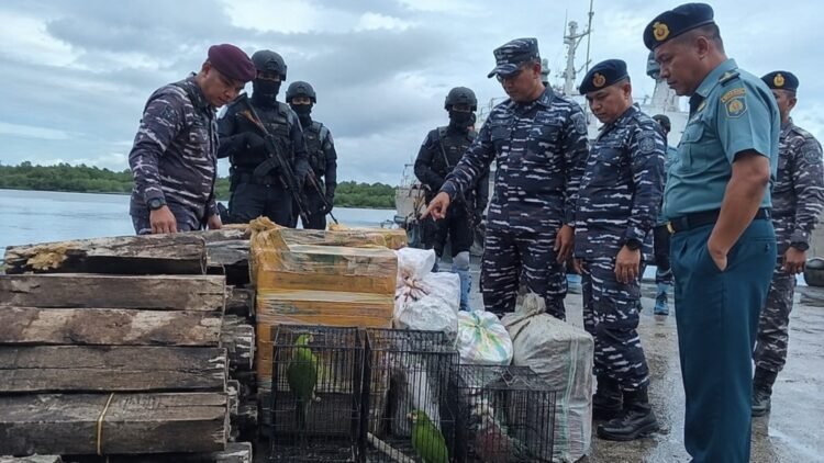 TNI AL Gagalkan Penyelundupan Satwa Dilindungi dan Kayu Gaharu di Sorong