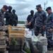 TNI AL Gagalkan Penyelundupan Satwa Dilindungi dan Kayu Gaharu di Sorong