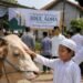 6 Tradisi Unik Idul Adha di Berbagai Negara, Penuh Makna dan Kebersamaan