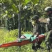 Prajurit TNI Evakuasi Ibu Hamil di Medan Ekstrem Papua
