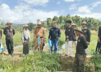 ANTAM Dorong Ketahanan Pangan Keluarga Lewat Pemanfaatan Pekarangan Rumah di Desa Mowundo