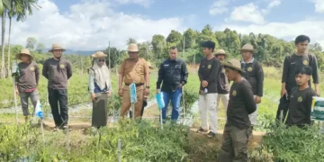 ANTAM Dorong Ketahanan Pangan Keluarga Lewat Pemanfaatan Pekarangan Rumah di Desa Mowundo