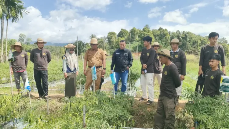 ANTAM Dorong Ketahanan Pangan Keluarga Lewat Pemanfaatan Pekarangan Rumah di Desa Mowundo
