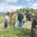 ANTAM Dorong Ketahanan Pangan Keluarga Lewat Pemanfaatan Pekarangan Rumah di Desa Mowundo