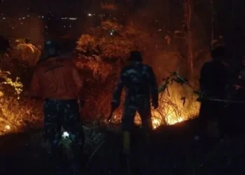 TNI AD Sigap Padamkan Kebakaran Hutan di Sejumlah Wilayah Indonesia