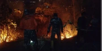 TNI AD Sigap Padamkan Kebakaran Hutan di Sejumlah Wilayah Indonesia