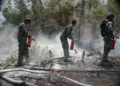TNI Kerahkan Tim Alfa Gabungan Tiga Matra untuk Atasi Kebakaran Taman Nasional Way Kambas